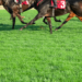 Betting Gods UK Horse Racing Tips